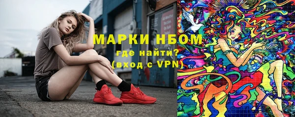 прущие грибы Арсеньев