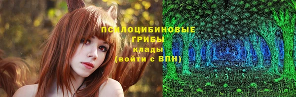 прущие грибы Арсеньев