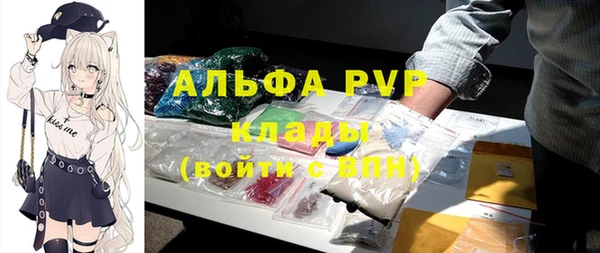 прущие грибы Арсеньев