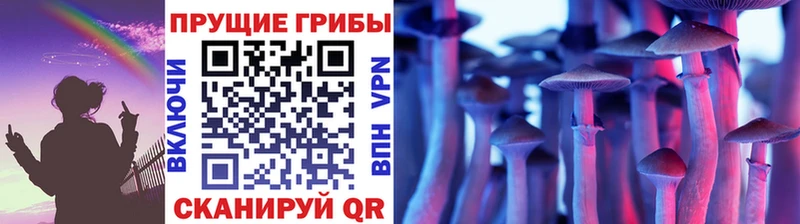 мориарти какой сайт Белый Галлюциногенные грибы Magic Shrooms кракен как войти