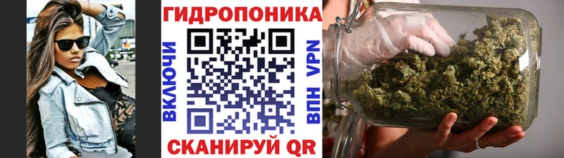MEGA   Белый  Каннабис сатива 