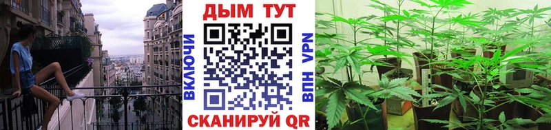 Шишки марихуана Bruce Banner Белый
